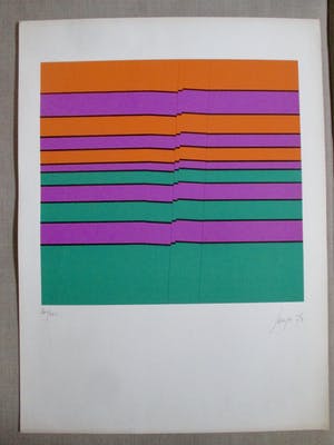 Sonja Vincent-Nienhuis - Grote zeefdruk kopen? Bied vanaf 30!