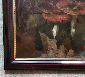 Theo Fransiscus Goedvriend - Paddenstoelen kopen? Bied vanaf 335!