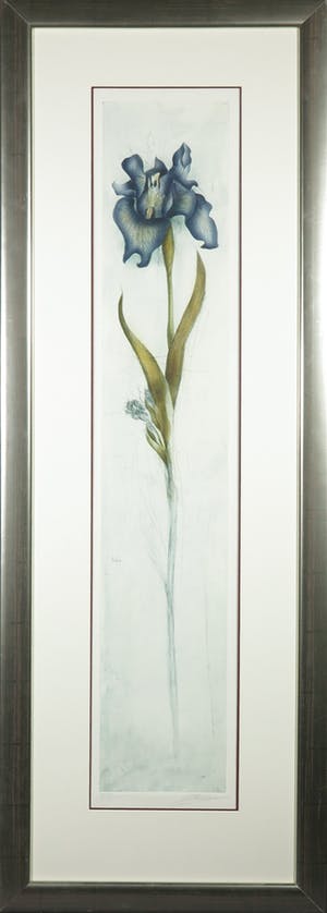 Bernd Lehmann - Ets, Bloem (Blauw) - Ingelijst kopen? Bied vanaf 35!