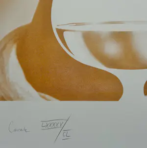 Rob Scholte - Cascade kopen? Bied vanaf 45!