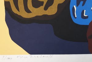 Doris Groeneveld - New Zealand kopen? Bied vanaf 20!