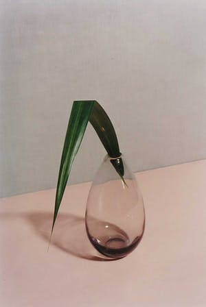Ellen Mandemaker - Foto, Vaasje kopen? Bied vanaf 100!