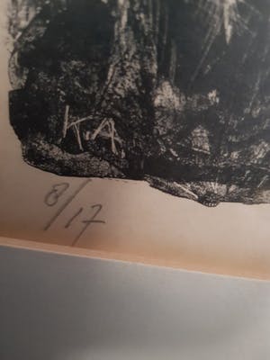 Kees Andrea - Weide met geiten kopen? Bied vanaf 5!