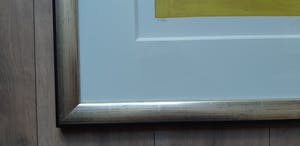 Corneille - Zeefdruk: " Carnaval des Oiseaux " kopen? Bied vanaf 210!