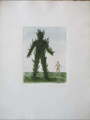 Jean Paul Vroom - Metamorfose - Kleurets kopen? Bied vanaf 1!