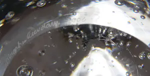 Floris Meydam - serica kopen? Bied vanaf 100!