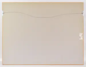 Charlotte Molenkamp - Vogel kopen? Bied vanaf 50!