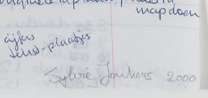 Sylvie Jonkers - Gouache, potlood en pen, Zonder titel - Ingelijst kopen? Bied vanaf 1!