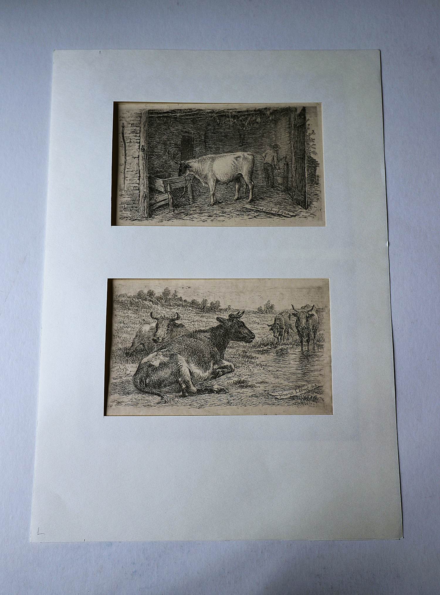 Frans Lebret - 2 fraai gedetailleerde Etsen "Koeien + Stier in stal" - 1908 - in passe partout kopen? Bied vanaf 34!