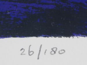 Ton Schulten - Voorjaarsbomen kopen? Bied vanaf 250!