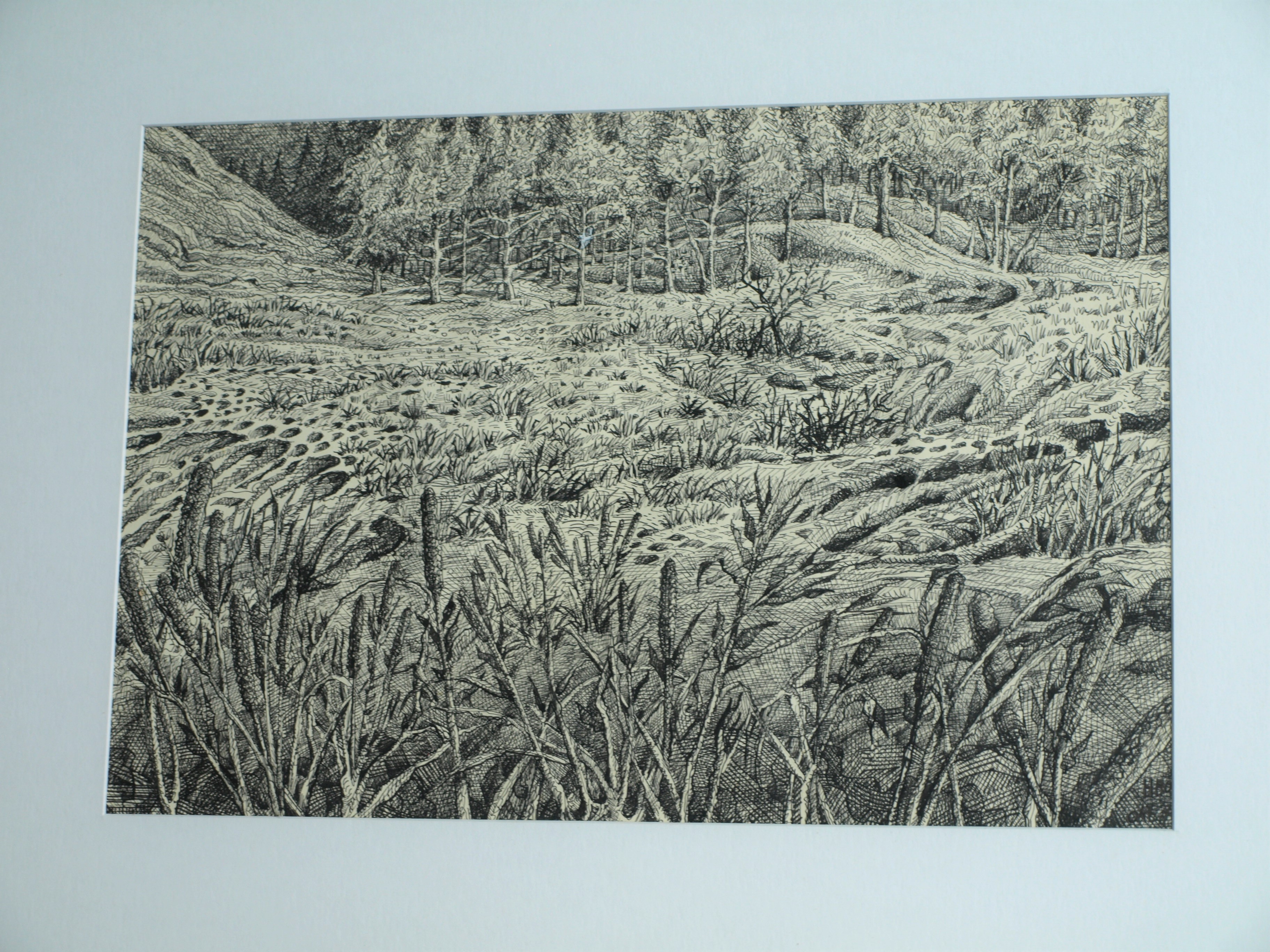 Hans Boon - Pentekening , Duinlandschap – gesigneerd & ingelijst – ca 1977  kopen? Bied vanaf 1!