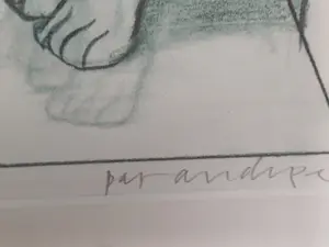 Pat Andrea - Poema Damko kopen? Bied vanaf 195!