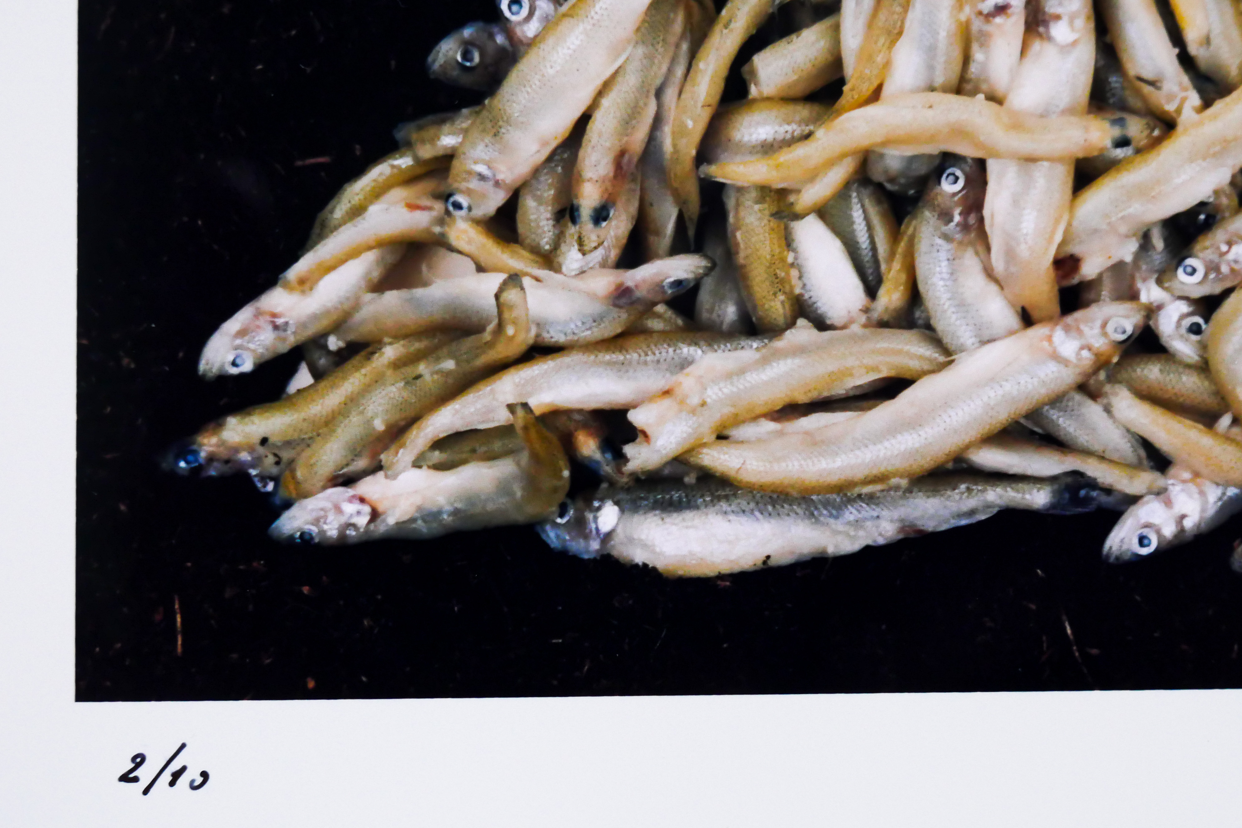 Ludo Geysels - The best of two worlds kopen? Bied vanaf 35!