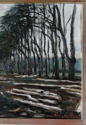 Anneke Boot - Veluwe, na de storm bij het Uddelermeer kopen? Bied vanaf 130!