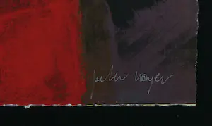 Peter Meijer - Zeefdruk, Voorbije passage - Ingelijst (Groot formaat) kopen? Bied vanaf 50!