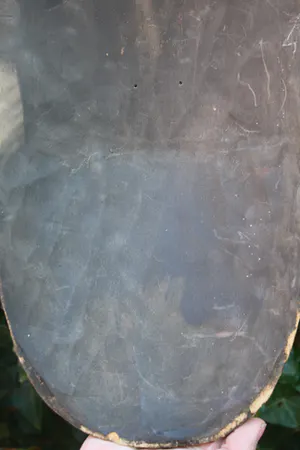 Niet of onleesbaar gesigneerd - Prachtig Licht Groot Houten Afrikaans Masker (20e eeuw kopen? Bied vanaf 1!