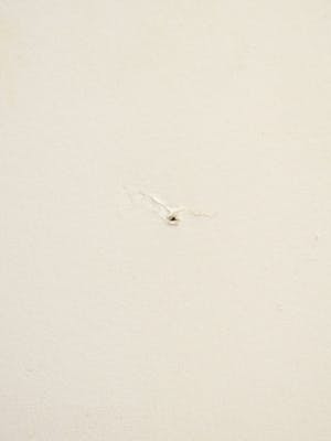 Hermien van Herpt - Dilemma kopen? Bied vanaf 1!