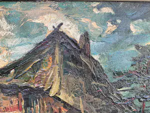 Peter van den Braken - De peelhut kopen? Bied vanaf 100!