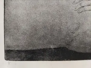 Aat Veldhoen - Bevallende vrouw kopen? Bied vanaf 125!