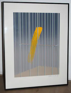 Jeroen Henneman - Uit het leven der dingen: een kanarie - zeefdruk - mooi ingelijst kopen? Bied vanaf 150!