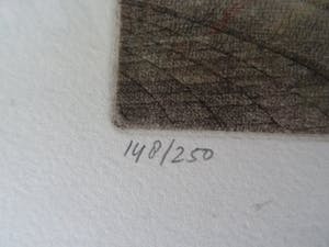 Kik Zeiler - Luthersche Diakonessen Inrichting kopen? Bied vanaf 20!