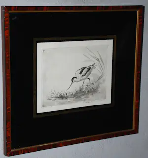 Maarten Langbroek - Kluut - fraai ingelijste ets kopen? Bied vanaf 50!