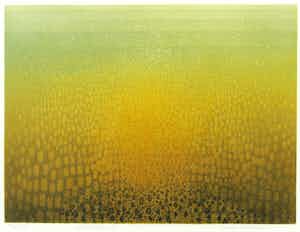 Lydia Oerlemans - Ets en aquatint, Lichtvelden III - Ingelijst verkocht voor € 50!