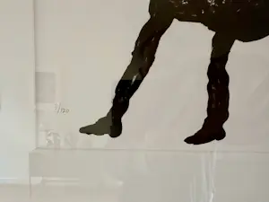 Armando - Bokje kopen? Bied vanaf 215!