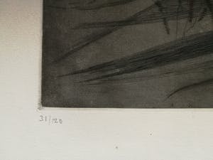 Ferdinand Springer - kein Titel kopen? Bied vanaf 150!