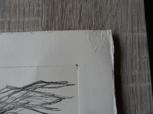 Leo Hofman - Ets, titel, Negev woestijn Israël. kopen? Bied vanaf 15!