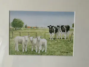 Wiebe A van der Zee - Heerlijke scharrelen en Are you chicken, Kraamvisite en Nieuwe Buren kopen? Bied vanaf 50!