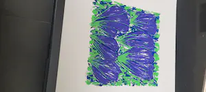 Ad van Hassel - Tulpen kopen? Bied vanaf 1!