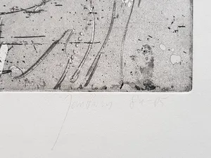 Jan Prins - Prachtige Ets - Gesigneerd in potlood kopen? Bied vanaf 15!