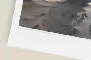 Dariusz Klimczak - 'Op het nest' (2011) - GRATIS VERZENDING kopen? Bied vanaf 70!