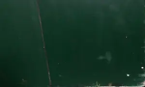 Jean van Wijk - Gemengde techniek op paneel, Volume (Zeer groot) kopen? Bied vanaf 1!