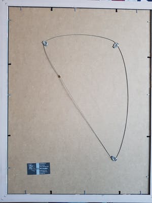 Clemens Briels - Un Pajaro Extraño kopen? Bied vanaf 25!