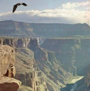 Mr. Strange - L'AGENT IMMOBILIER kopen? Bied vanaf 65!