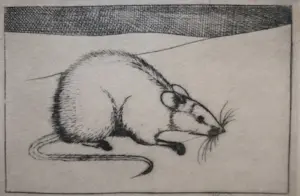 Jan Mankes - Witte muis. kopen? Bied vanaf 20!