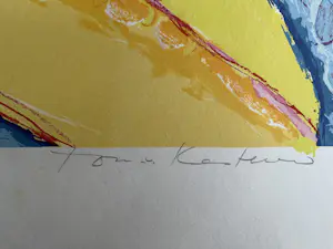 Ton van Kesteren - TWEE ZEEFDRUKKEN kopen? Bied vanaf 59!