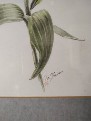 Niet of onleesbaar gesigneerd - Greet Aeijelts kopen? Bied vanaf 1!