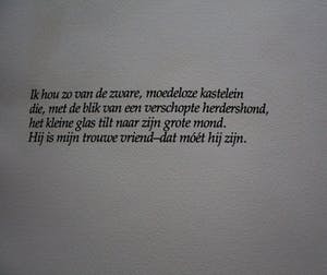 Frank Lodeizen - Ets: Vreugden en Verschikkingen... kopen? Bied vanaf 49!