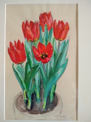 Alberta Johanna Meijer-Smetz - tulpen in pot kopen? Bied vanaf 1!
