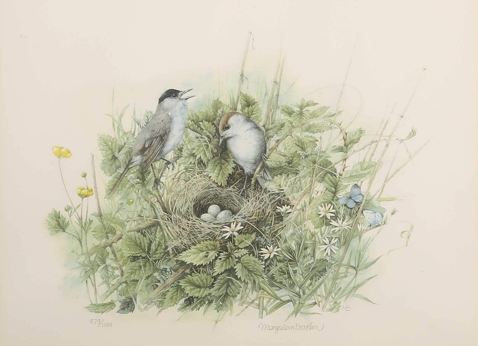 Marjolein Bastin - Offsetdruk, Z.T. Nest met vogeltjes - Ingelijst kopen? Bied vanaf 1!