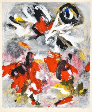 Charlotte Molenkamp - Vogel kopen? Bied vanaf 50!