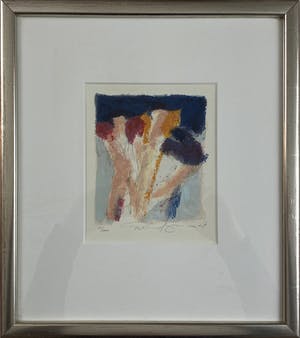 Richard Smeets - Zeefdruk in lijst, handgesigneerd kopen? Bied vanaf 25!