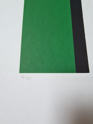 Maartje Wijngaarden - Bloem 7 en 8 - gesigneerd - 50 ex kopen? Bied vanaf 1!