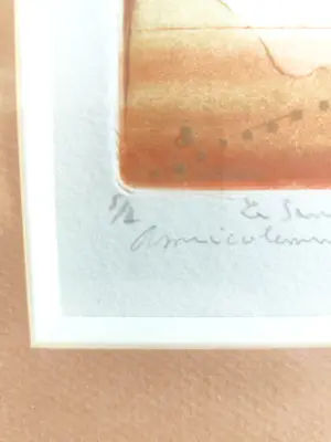 René Carcan - Uiterst zeldzame oplage 1/2 - René Carcan - "De wilg in de tuin" (1990) kopen? Bied vanaf 380!