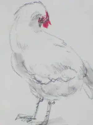 Alexander Gerhardus Dieperink - Twee kippen - Tekeningen kopen? Bied vanaf 48!