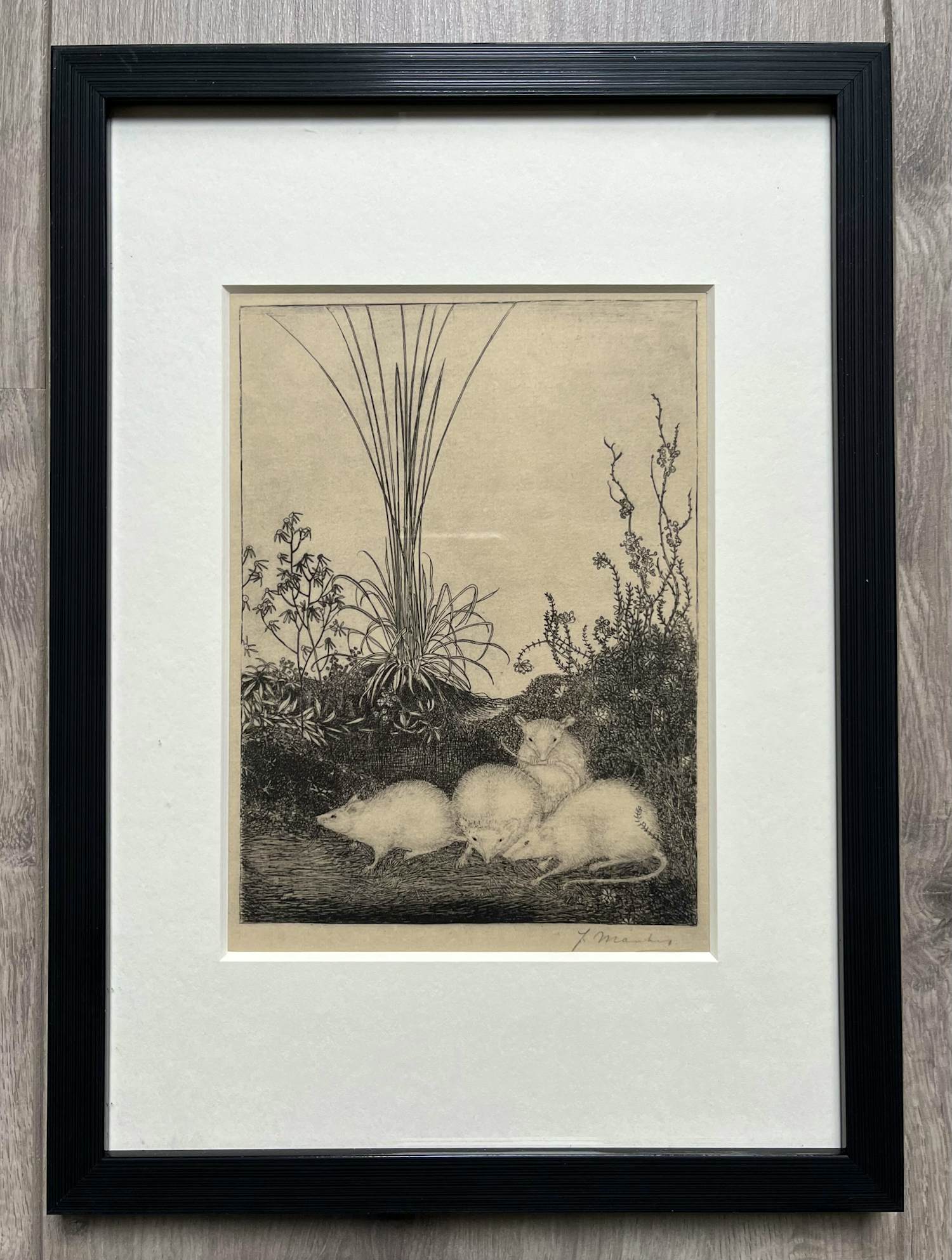 Jan Mankes - Originele Heliogravure 4 Muizen 1923 verkocht voor € 135!