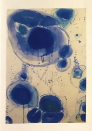 Sam Francis - Twee originele persfoto's Duitsland - 1993 kopen? Bied vanaf 58!